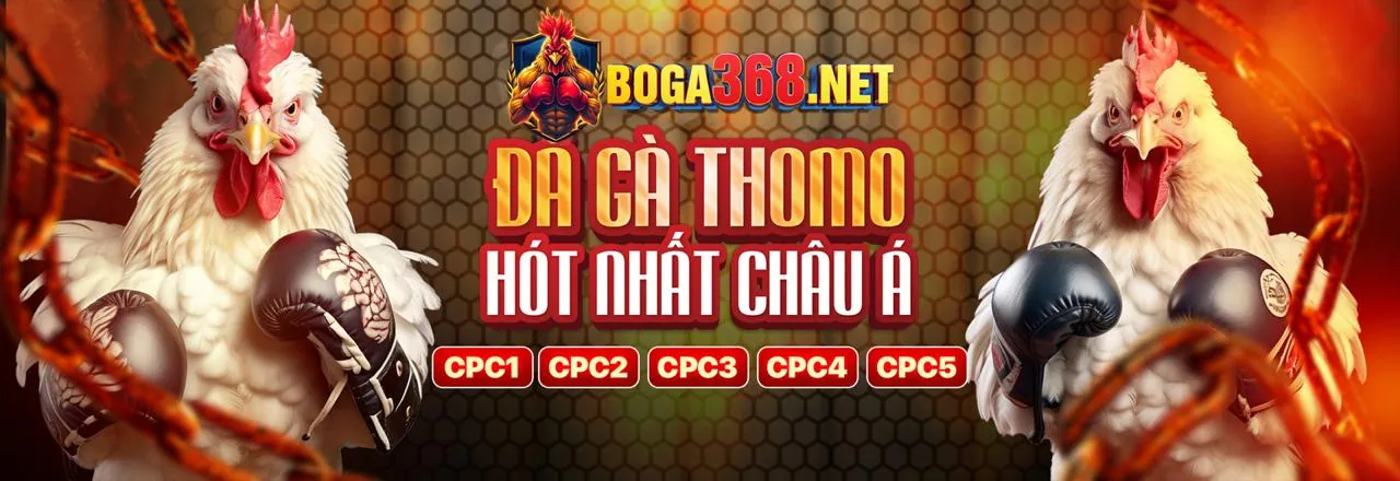 Đá Gà Trực Tuyến HZ88 Link Mới 2026